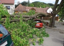 Kwikfynd Tree Cutting Services
twowells
