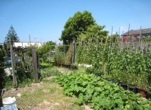 Kwikfynd Vegetable Gardens
twowells